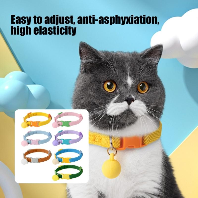 Easy to Use Elastic Pet Collar with Quick Adjust Feature Stretchable Comfort Multiple Color Lightweight for Small Animal