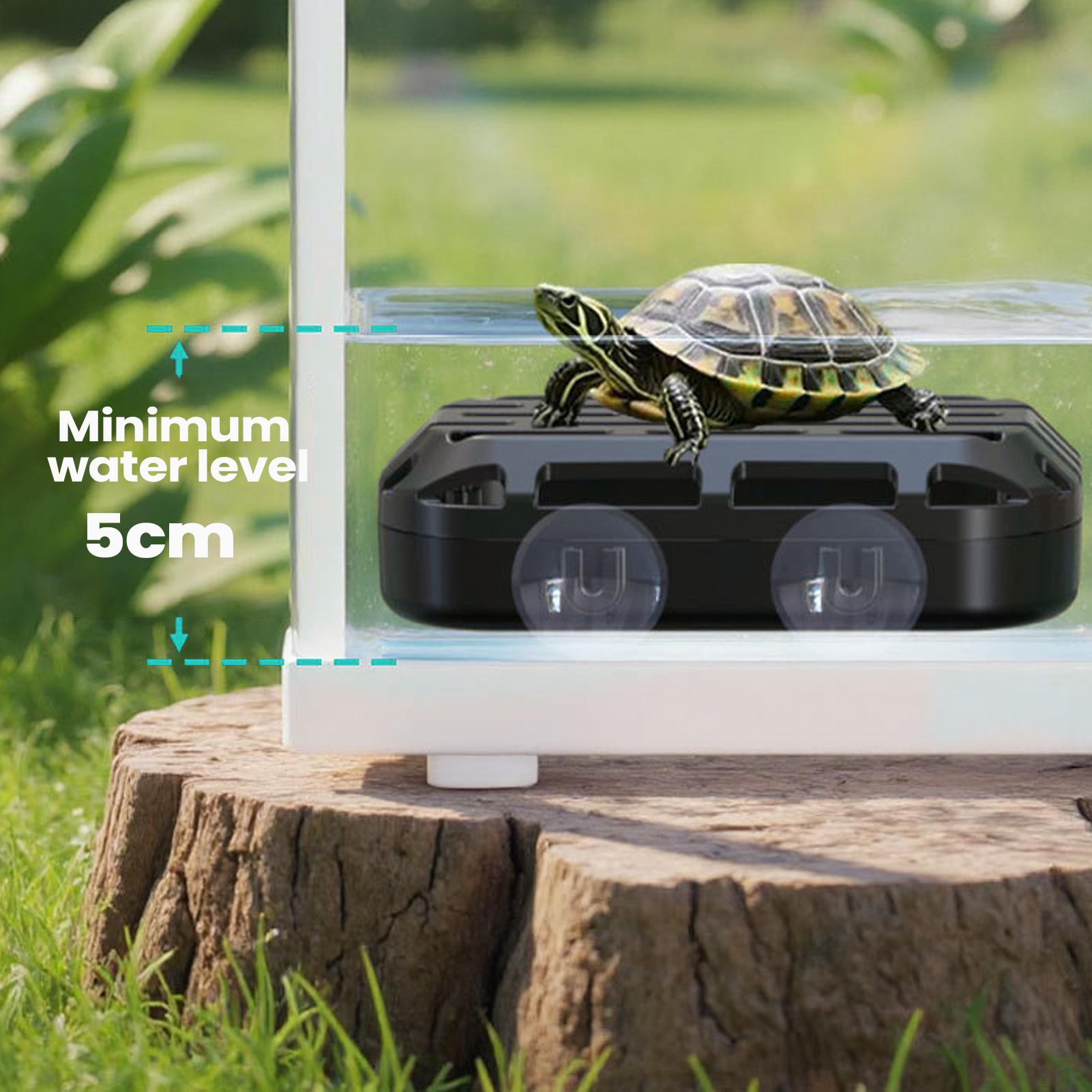 

Turtle Poop Catcher Bin Quick Release Pet Accessories Aquarium Turtle Poop Catcher For Living Room Hotel Restaurant Apartment China Mainland