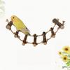 Parrots Grinding Scratchers Perch Cage Mount Bird Ladder Cage Toy Rod Swing Rack Toy Grinding Perch Supplies