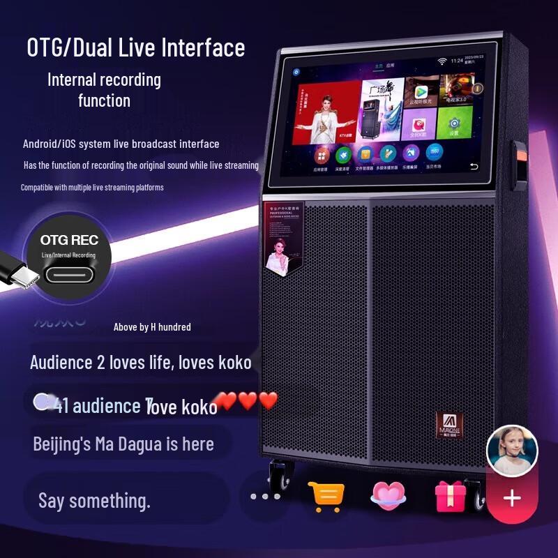 MALONE KT-112 Portable KTV System with 18.5-inch Display