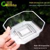 Disposable Clear Rectangular Plastic Fruit Container