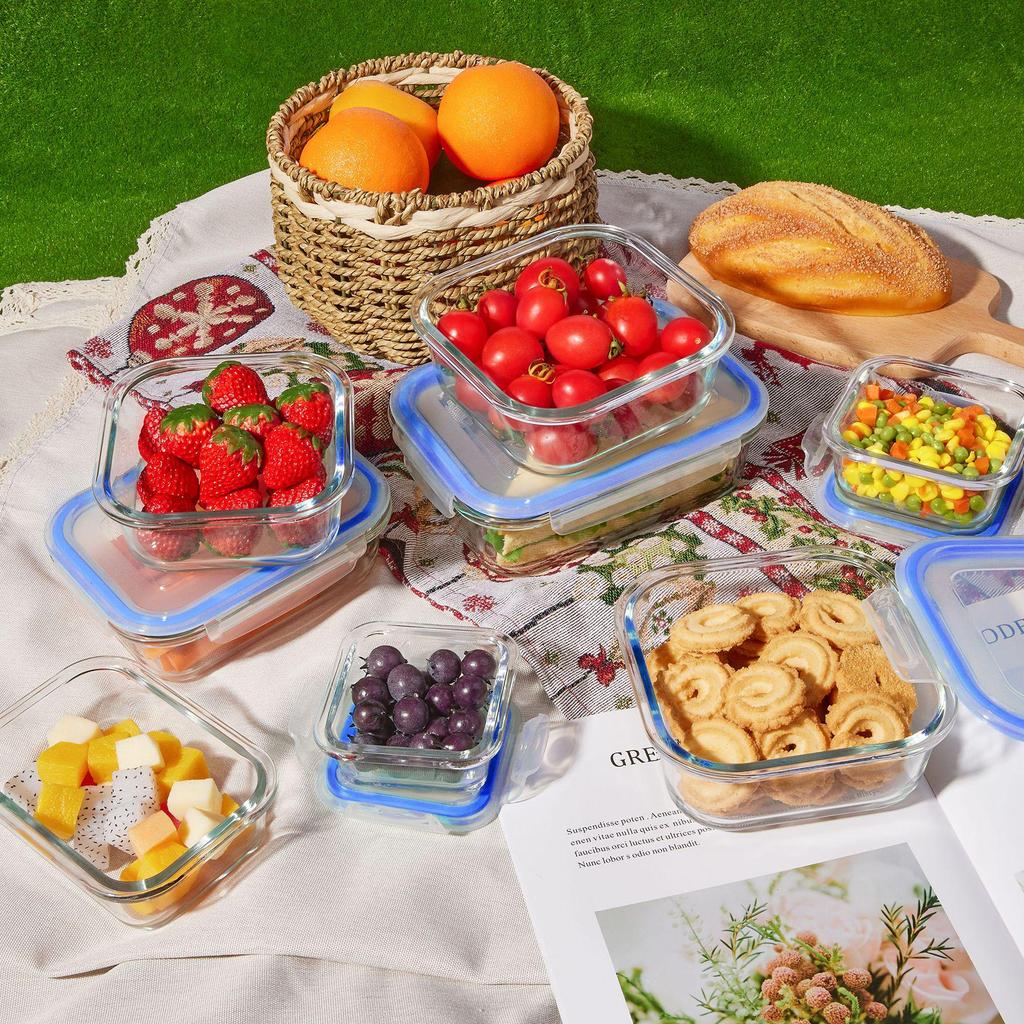 Borosilicate Glass Food Storage & Microwave Safe Bento Box Set