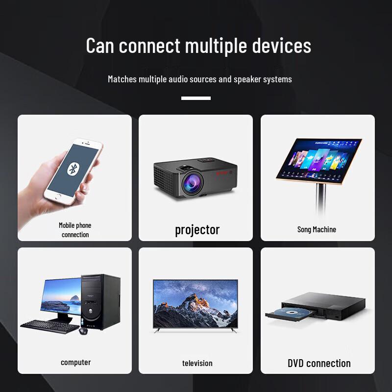 Xianke H10 10-inch Professional Passive KTV Speaker System