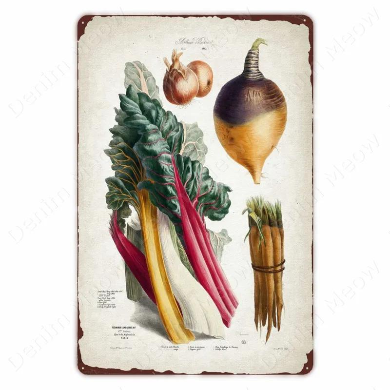VegFruitVintageSign Vegetable Plants Retro Poster - Fruits/Cauliflower Vintage Metal Tin Sign, Garden/Kitchen Farm Wall Decor