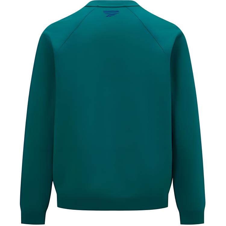 Reebok American Vintage Letter Embroidery Casual Sports Knit Pullover Sweatshirt Unisex Sweatshirt Gem-Green 24SRC305UGL7