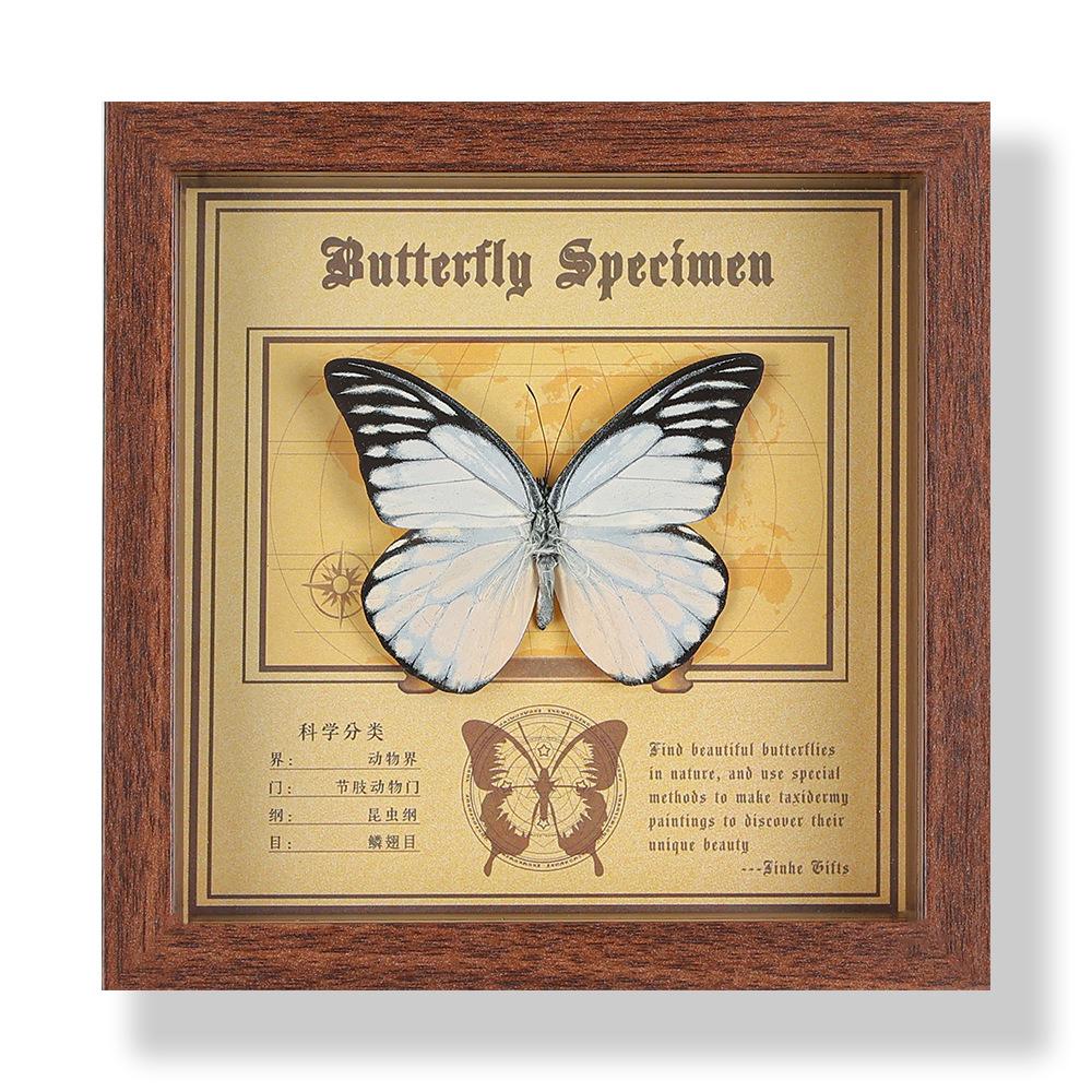 Real butterfly specimen photo frame, decorative painting, 3D ornament, handmade DIY, birthday gift, insect specimen