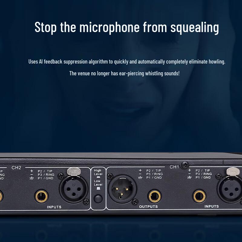 Huidu AF100 AI Adaptive Feedback Suppressor (CN Version)