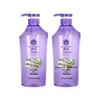 Shampoo Volumizzante Controllo Sebo Fenghua