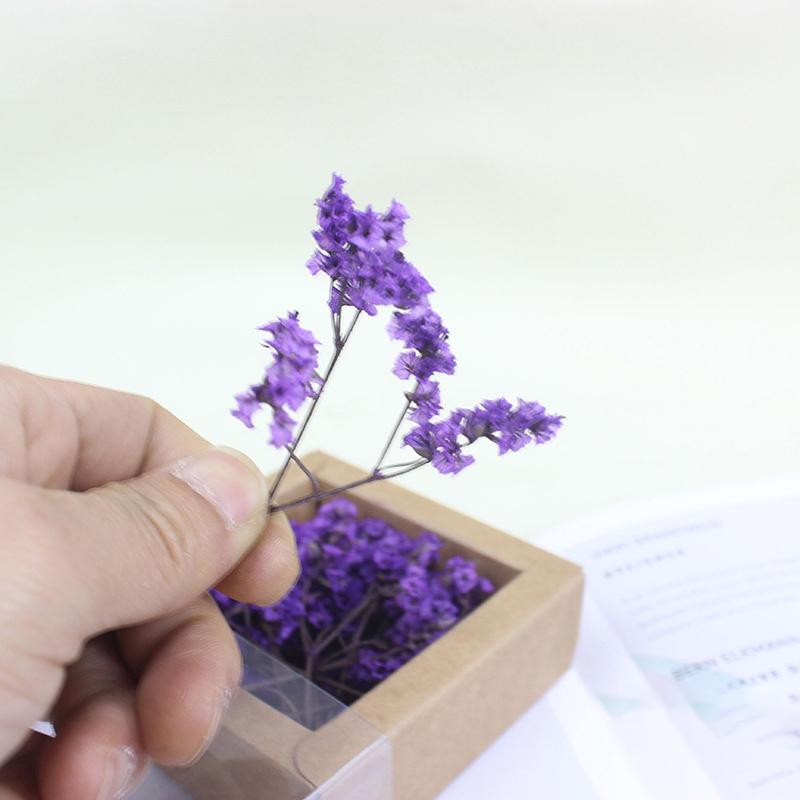 

1/12 Кукольный домик Сухоцветы Подарочная коробка Модель Кукольный домик Мини Букет из сухоцветов Декорация Игрушки Аксессуары для кукольного домика A12