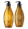 Ziyuan Ginger Anti-Hair Loss & Oil Control Shampoo