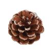 48pcs Christmas Pine Cones Ornaments with String Rustic Pine Cones Fall Decoration for DIY Crafts