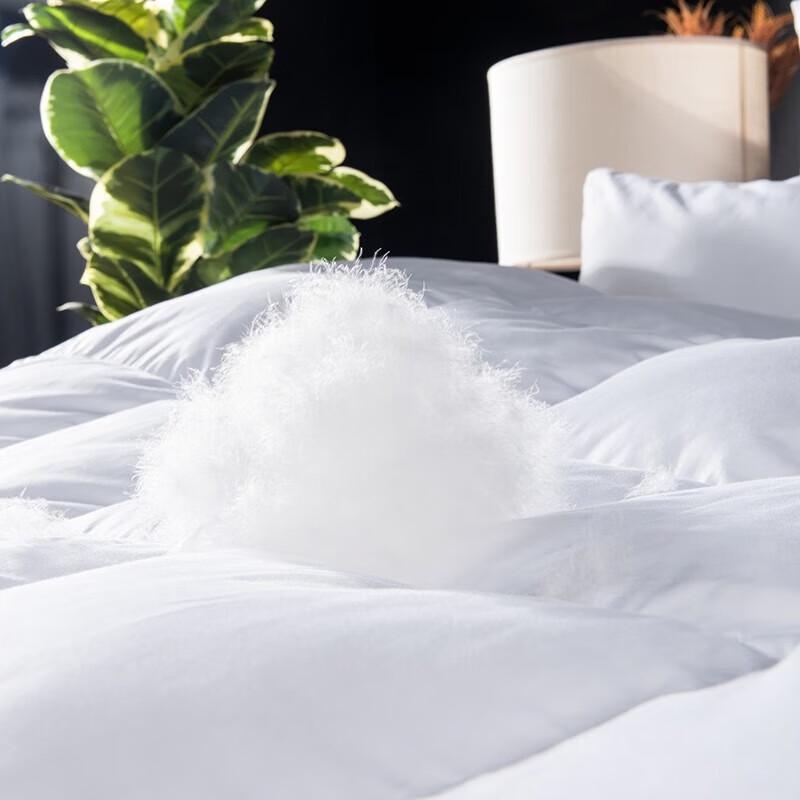 Yomengjiaju White Goose Down Winter Duvet