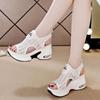 Wedge Sandals Women's Platform Sole Summer 2025 New Soft-Soled Flatform Bottom Cutout Mesh Sandals Women