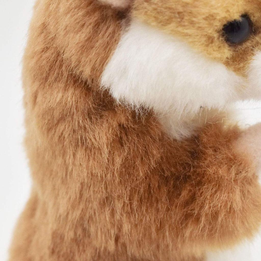 Hamster No.3739