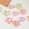 High-end Smudge Small Hairpin Female High Ponytail Plate Hair Clip Flower Square Grab Clip Hair Accessories