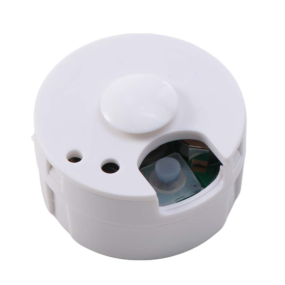 Clear Voice Stuffed Animal Sound Recorder 60 Seconds Stuffed Doll Voice Box  Birthday Gift