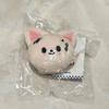 [USED] Straykids KARMA Pop-Up Name Tag, Foxiny, Ien