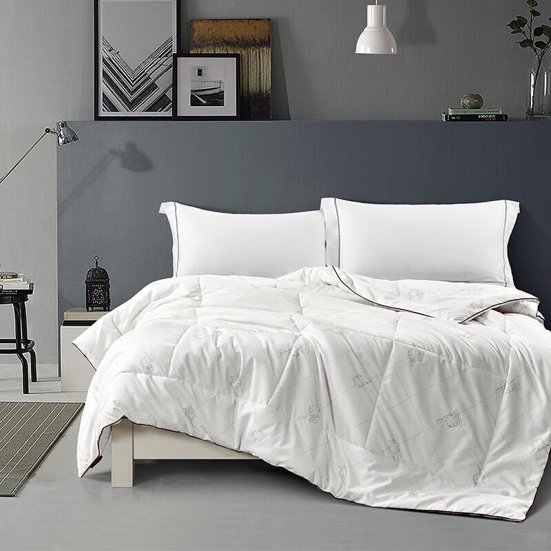 

Shanshan Fluffy Soft All-Season Comforter