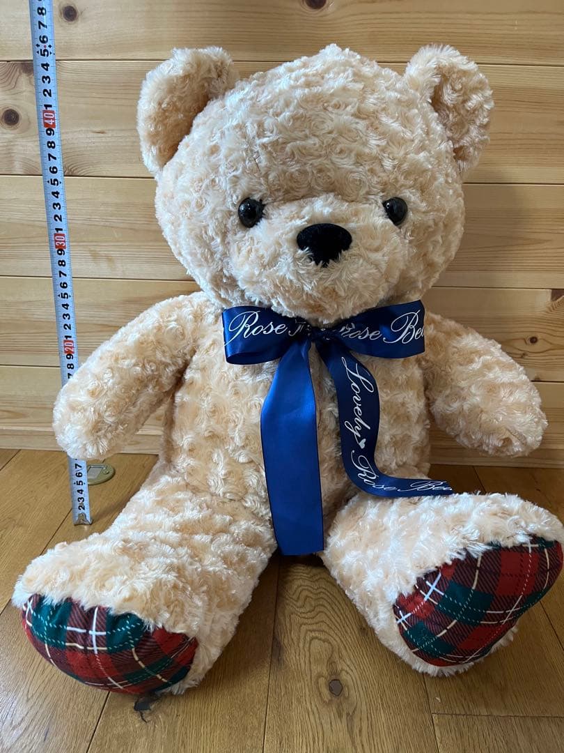 

[USED] teddy bear teddy bear