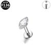 G23 Titanium Legering Mode Piercing Sieraden: Oorbel met Interne Schroefdraad Paardenoog Zirkonia