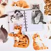 Coil Binding Cat Dog Desk Calendar Creative Daily Planning Supplies Portable Calendar  Office Use