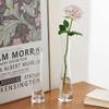 Eco Micro Landscape Hydroponic Glass Vase for Single Stem - Transparent, Creative, Simple Flower Arrangement Decor