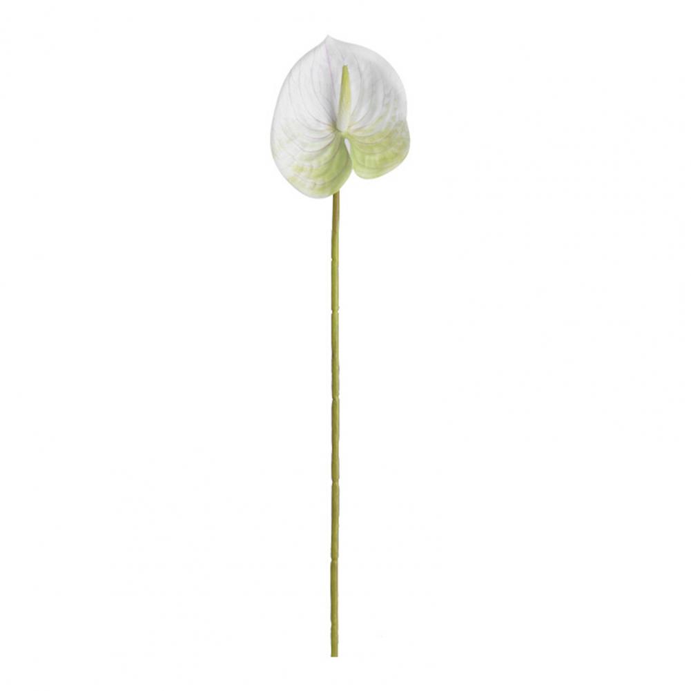 1 Branch Artificial Flower Real Touch Anthurium Lotus Artistic 3D Printing Elegant Vivid Fake Anthurium Flower Photography Props