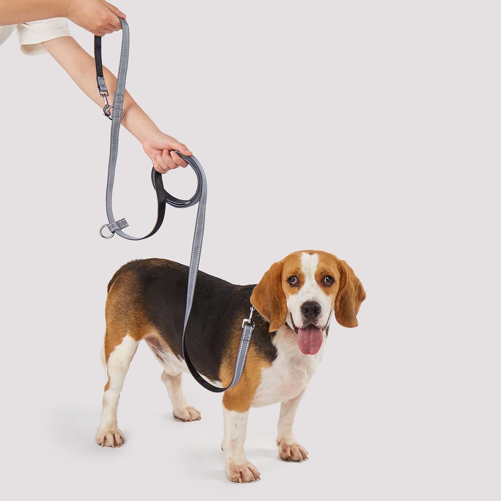 Multifunctional Nylon Reflective Dog Leash Adjust Length Free Hands Double Head Leash for Small Medium Large Dog Walking Running