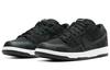 Nike Sb Dunk Low Wasted Youth DD8386-001