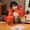Zodiac Rooster Plush Doll: Cross-Border Simulation Toy