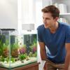 Pești și animale marine – Întreținerea acvariului
