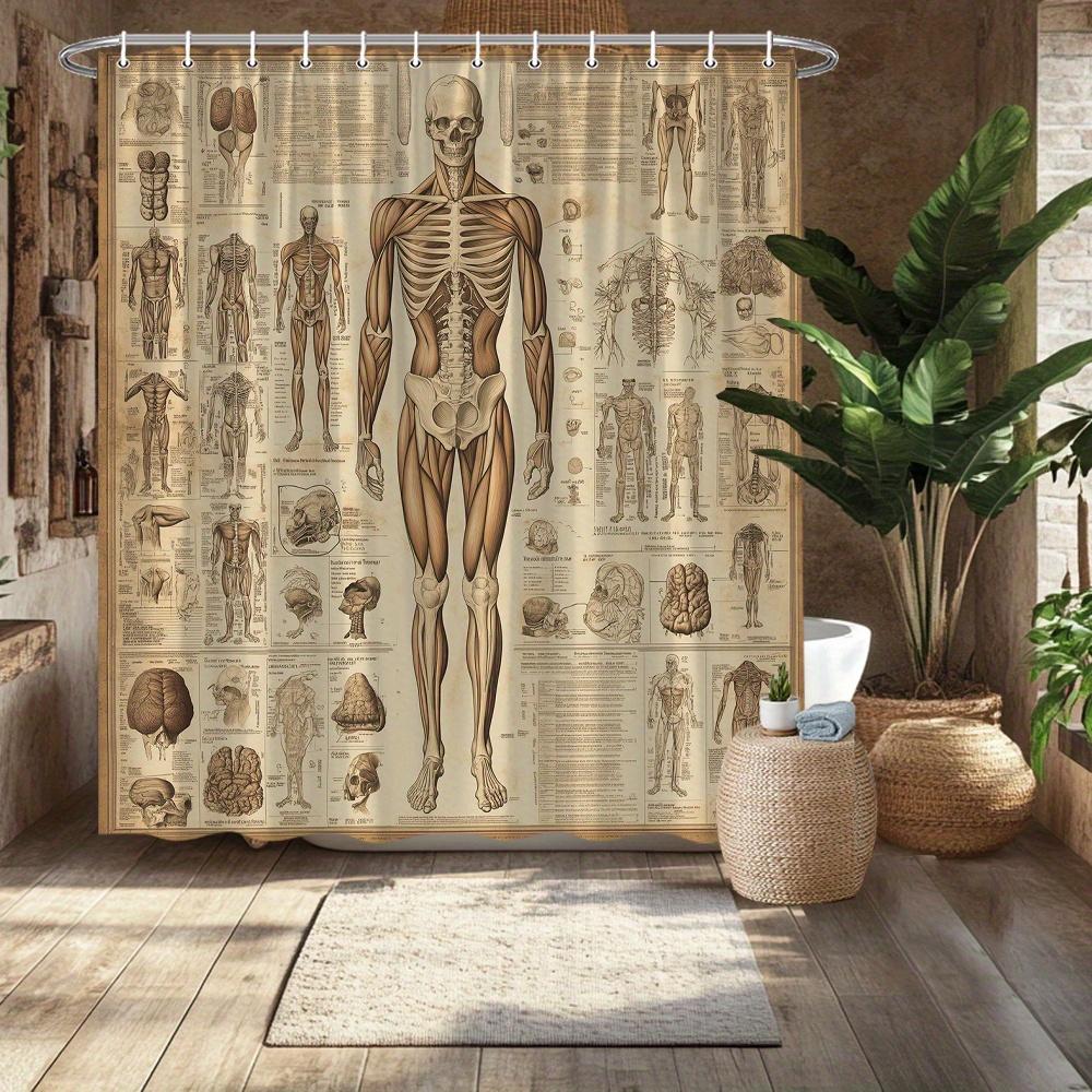 Vintage Anatomische Studie Duschvorhang Menschlicher Körper Skelett Diagramm Wissenschaftlicher Druck Polyester Badezimmer Dekor Neuheit Heimkunst
