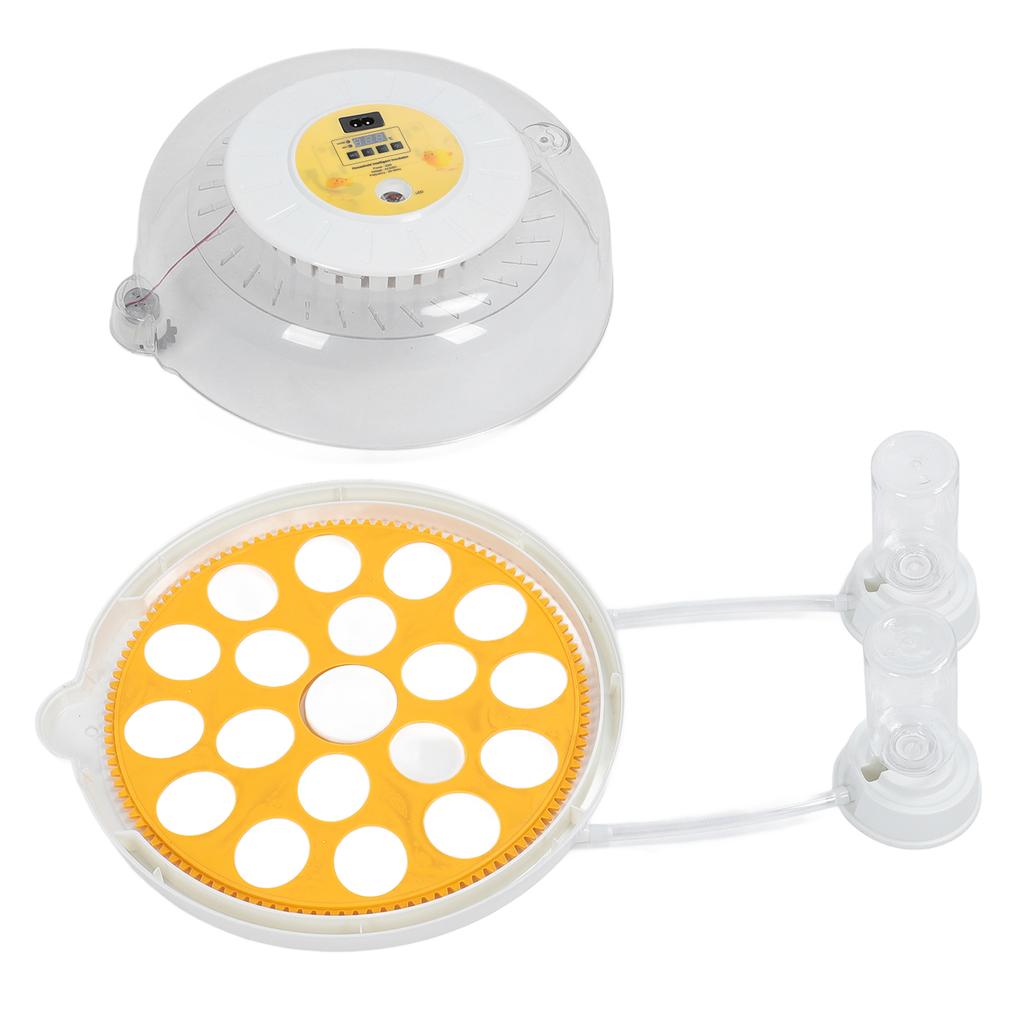 Eggs Incubator Automatic Turner Versatile Transparent Lid Easy To Use Egg Hatching Incubator for