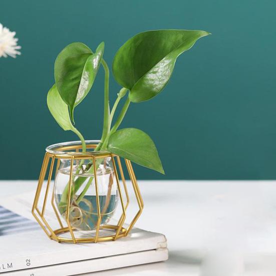 Váza na květiny Jednoduché jemné zpracování Skleněná mini poutavá praktická dekorace Váza na rostliny do obývacího pokoje