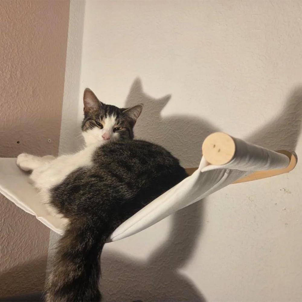 Wandmontierte Katzenkletterregale Katzenbaumturm Hängematte Kratzbäume Katzen Sitzstangen Kätzchen zum Schlafen Spielen Krallenschleifen