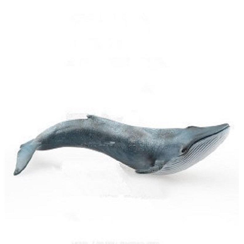 Симулятор Морская акула Модель Игрушка Раннее детство Развивающие игрушки детские игрушки