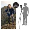 Manfrotto Befree Advanced AS Camera Travel Tripod Kit with Twist Portable and Compact Ball Carbon Fiber DSLR Mirrorless Camera Accessories Lock,