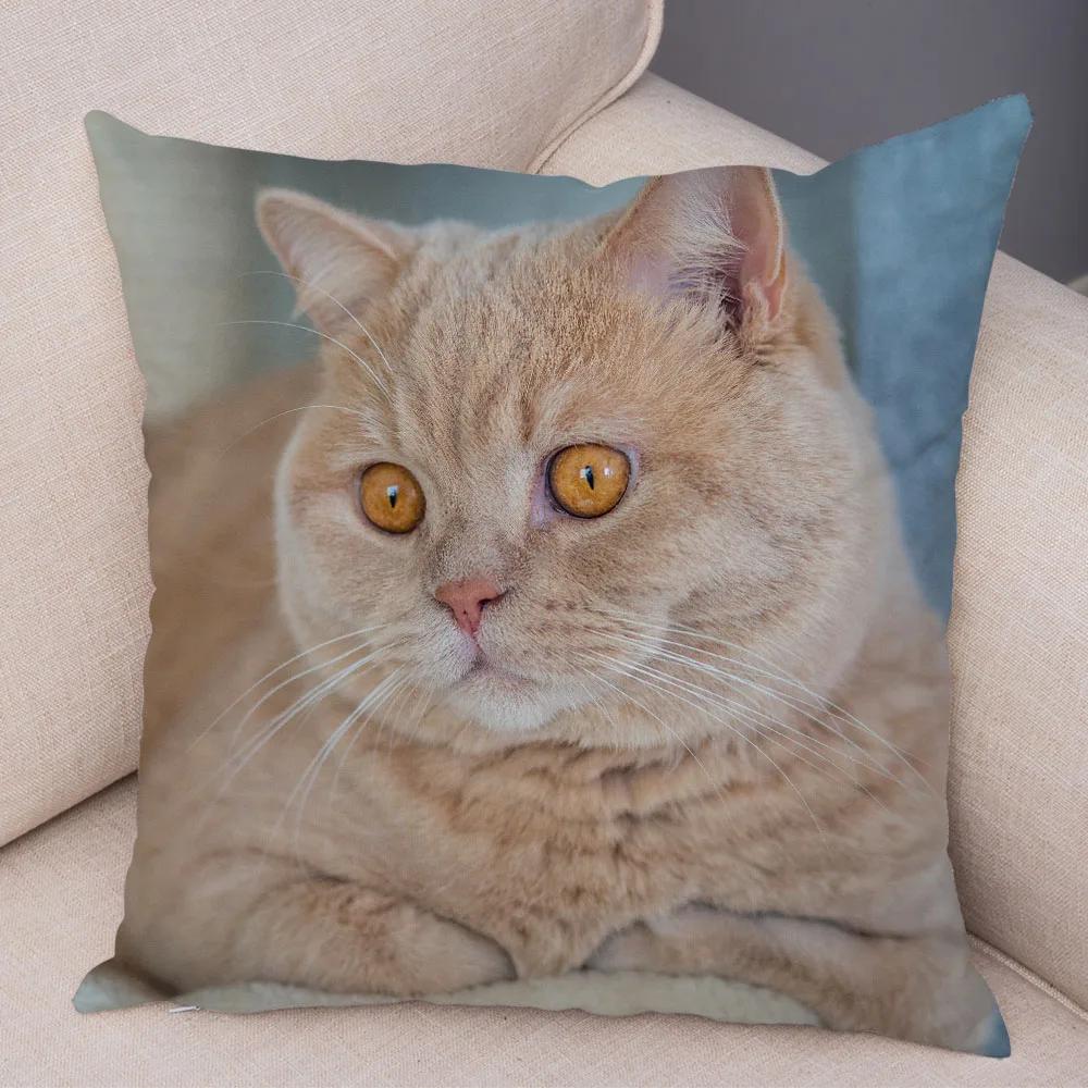 Russian Blue British Shorthair Cushion Cover Decor Cute Cat Pet Animal Pillowcase Soft Plush Pillow Case for Car Sofa Home