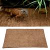 Reptile Coconut Fibre Carpet Bottom Mat Lizards Terrarium Cage Landscaping Floor Pad