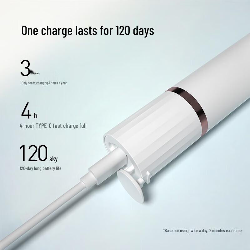 Bo Hao T33 Sonic Electric Toothbrush