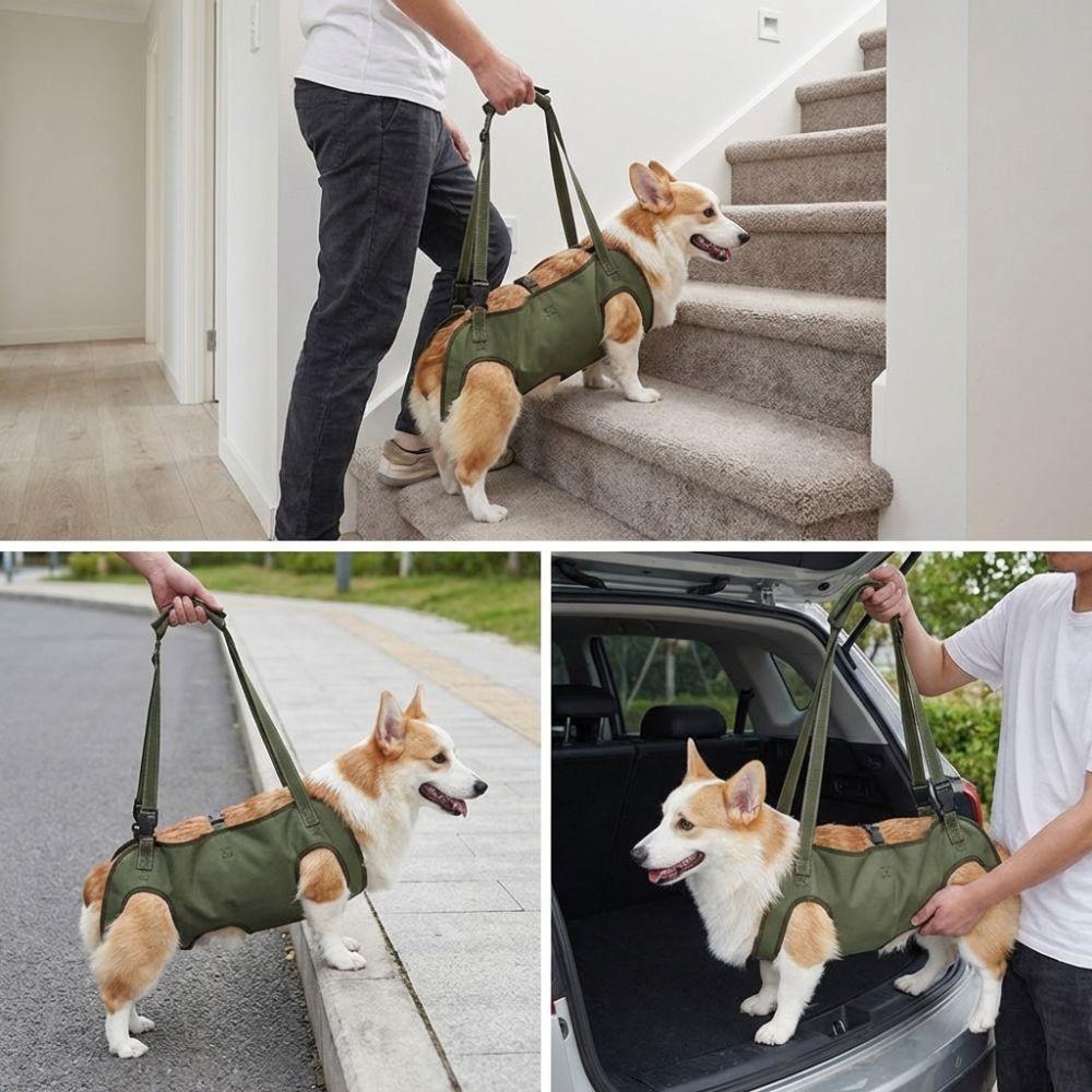 Adjustable Pet Auxiliary Vest Soft Lining Full Body Support Dog Chest Back Leash Mobility Aid Thicken Handle Support Harness