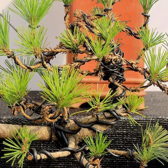 Bonsai Training Aluminum Wire 2.0mm Coated Aluminum Wire 16Ft/33Ft Bonsai Tree Wire for Fine Trunk And Branch Control