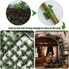 1/30/50Pcs For Garden Accsesories Plant Garden Pots & Planters Climbing Wall Outdoor Decors Lamp Support for Plants Clip Vine