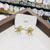 Faionable Retro Simplified Red Firework Diamond Embedded Earrings Luxury Court Design Sensation Earring Accories for Women