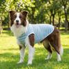 Round Neck Pet Striped T-Shirt Soft Dog Sunscreen Vest Pet Pajamas Pet Summer Clothes  Home Clothes