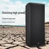 Runpu Professional Dual 15-inch Passive Conference Speaker (CN version)