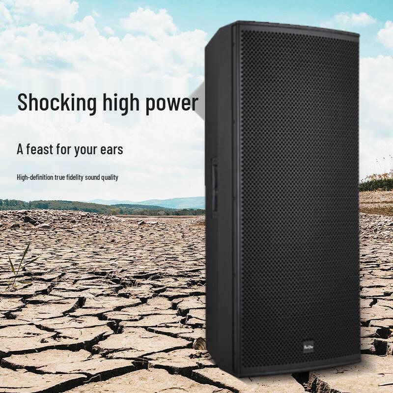 Runpu Professional Dual 15-inch Passive Conference Speaker (CN version)