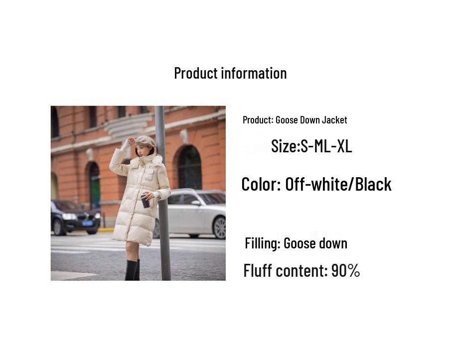 Women's 2024 Winter Hooded Slim Goose Down Coat