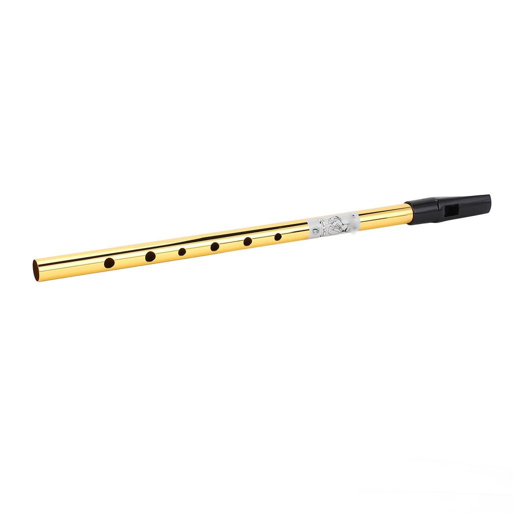 6 Holes Irish Tin Whistle Clear Sound Wind Musical Accurate Tuning Whistle Flute for Beginners C Tune