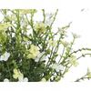 Artificial Succulent Plant In a Pot 28 Cm